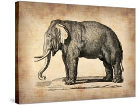 Vintage Elephant-NaxArt-Stretched Canvas