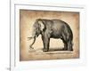 Vintage Elephant-NaxArt-Framed Art Print