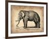 Vintage Elephant-NaxArt-Framed Art Print