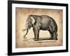 Vintage Elephant-NaxArt-Framed Art Print