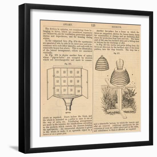 Vintage Encyclopedia "Apiary to Beehive"-Piddix-Framed Art Print