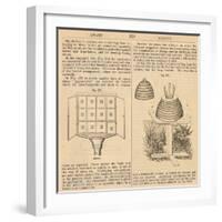 Vintage Encyclopedia "Apiary to Beehive"-Piddix-Framed Art Print