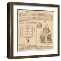 Vintage Encyclopedia "Apiary to Beehive"-Piddix-Framed Art Print