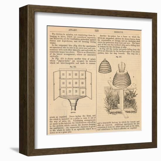 Vintage Encyclopedia "Apiary to Beehive"-Piddix-Framed Art Print