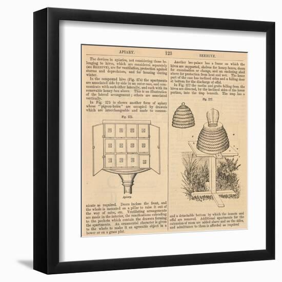 Vintage Encyclopedia "Apiary to Beehive"-Piddix-Framed Art Print