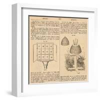 Vintage Encyclopedia "Apiary to Beehive"-Piddix-Framed Art Print