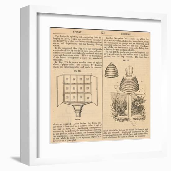 Vintage Encyclopedia "Apiary to Beehive"-Piddix-Framed Art Print