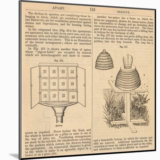 Vintage Encyclopedia "Apiary to Beehive"-Piddix-Mounted Art Print