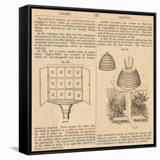 Vintage Encyclopedia "Apiary to Beehive"-Piddix-Framed Stretched Canvas