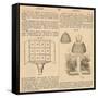 Vintage Encyclopedia "Apiary to Beehive"-Piddix-Framed Stretched Canvas