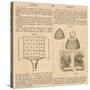 Vintage Encyclopedia "Apiary to Beehive"-Piddix-Stretched Canvas