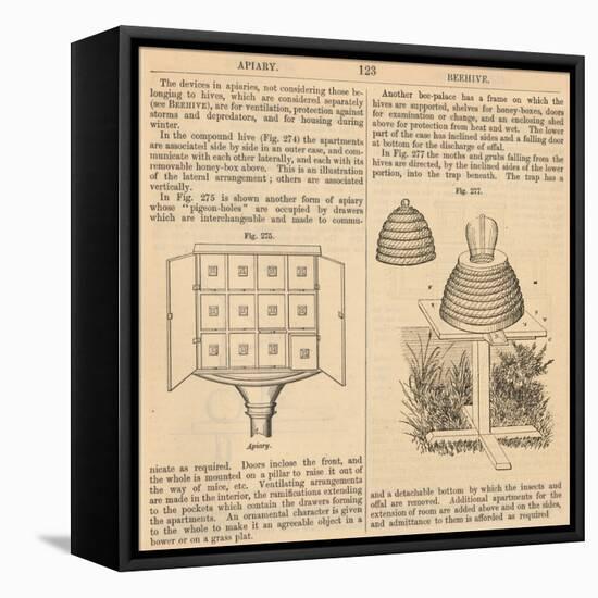 Vintage Encyclopedia "Apiary to Beehive"-Piddix-Framed Stretched Canvas