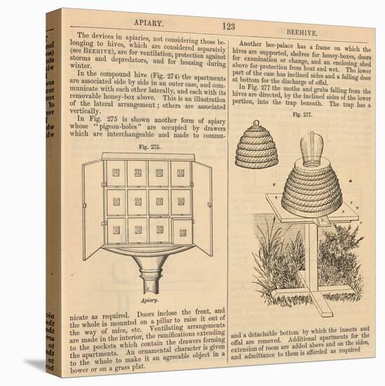 Vintage Encyclopedia "Apiary to Beehive"-Piddix-Stretched Canvas