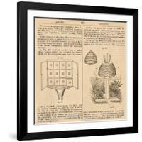 Vintage Encyclopedia "Apiary to Beehive"-Piddix-Framed Art Print