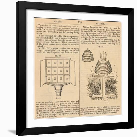 Vintage Encyclopedia "Apiary to Beehive"-Piddix-Framed Art Print