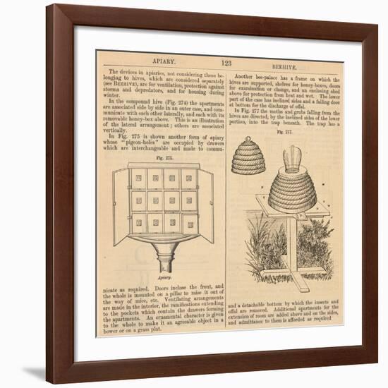 Vintage Encyclopedia "Apiary to Beehive"-Piddix-Framed Art Print