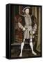 Vintage English History Painting of Henry Viii of England-Stocktrek Images-Framed Stretched Canvas