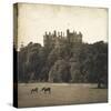 Vintage Equestrian - Belvoir-null-Stretched Canvas