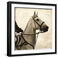 Vintage Equestrian - Counter-null-Framed Giclee Print