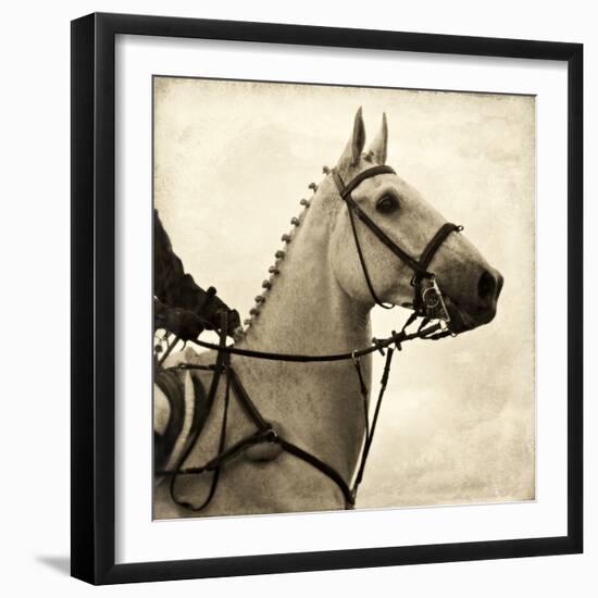 Vintage Equestrian - Counter-null-Framed Giclee Print