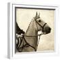 Vintage Equestrian - Counter-null-Framed Giclee Print