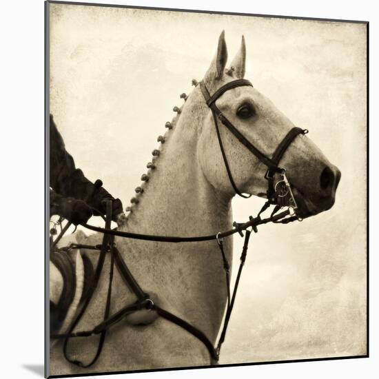 Vintage Equestrian - Counter-null-Mounted Giclee Print