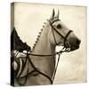 Vintage Equestrian - Counter-null-Stretched Canvas