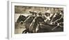 Vintage Equestrian - Post-null-Framed Giclee Print