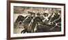 Vintage Equestrian - Post-Pete Kelly-Framed Art Print