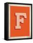 Vintage F-Kindred Sol Collective-Framed Stretched Canvas