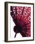 Vintage Fan I-Monika Burkhart-Framed Photographic Print