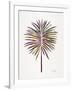 Vintage Fan Palm-Cat Coquillette-Framed Art Print