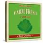 Vintage Farm Fresh Cabbage Poster-radubalint-Stretched Canvas