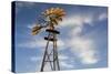 Vintage Farm Windmills at Sunset, Elk City, Oklahoma, USA-Walter Bibikow-Stretched Canvas