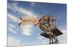 Vintage Farm Windmills at Sunset, Elk City, Oklahoma, USA-Walter Bibikow-Mounted Photographic Print