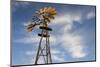 Vintage Farm Windmills at Sunset, Elk City, Oklahoma, USA-Walter Bibikow-Mounted Photographic Print