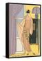 Vintage Fashion Illustration-null-Framed Stretched Canvas