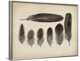 Vintage Feathers VI-null-Framed Art Print