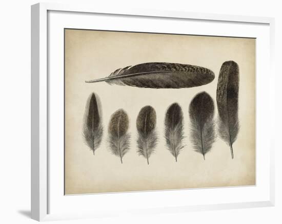 Vintage Feathers VI-null-Framed Art Print