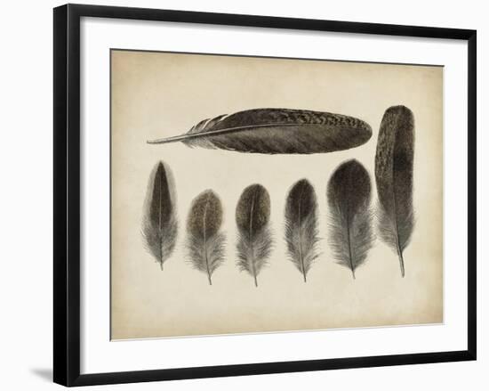 Vintage Feathers VI-null-Framed Art Print