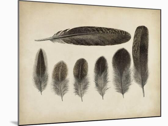 Vintage Feathers VI-null-Mounted Art Print