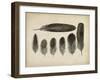 Vintage Feathers VI-null-Framed Art Print