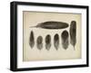 Vintage Feathers VI-null-Framed Art Print