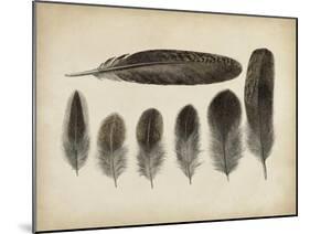 Vintage Feathers VI-null-Mounted Art Print