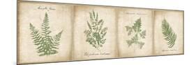 Vintage Ferns - 4 Image Panel-Wild Apple Portfolio-Mounted Premium Giclee Print