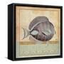 Vintage Fish II-Elizabeth Medley-Framed Stretched Canvas