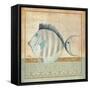 Vintage Fish III-Elizabeth Medley-Framed Stretched Canvas