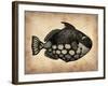 Vintage Fish-NaxArt-Framed Art Print