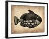 Vintage Fish-NaxArt-Framed Art Print