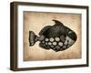 Vintage Fish-NaxArt-Framed Art Print